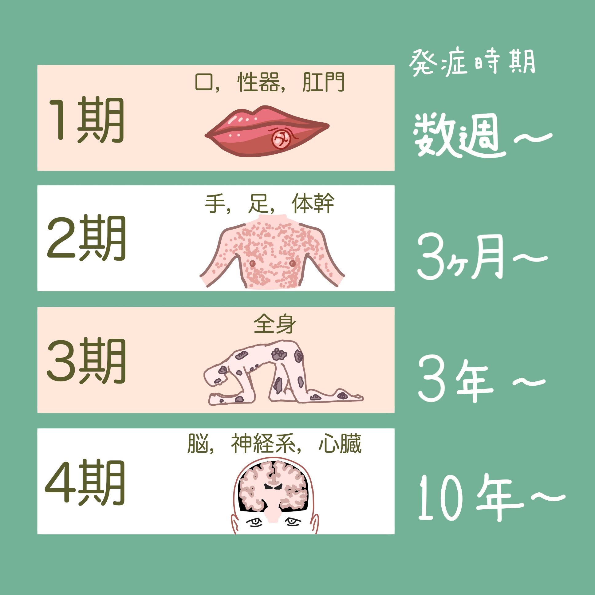 梅毒が急増中です!〜症状や検査についてイラストで解説〜|泌尿器科バウムクリニック|川口駅近くの泌尿器科